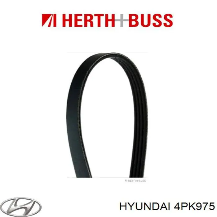 4PK975 Hyundai/Kia correa trapezoidal