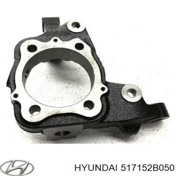 Mangueta delantera izquierda Hyundai/Kia 517152B050 precio, desde 79,86 EUR
