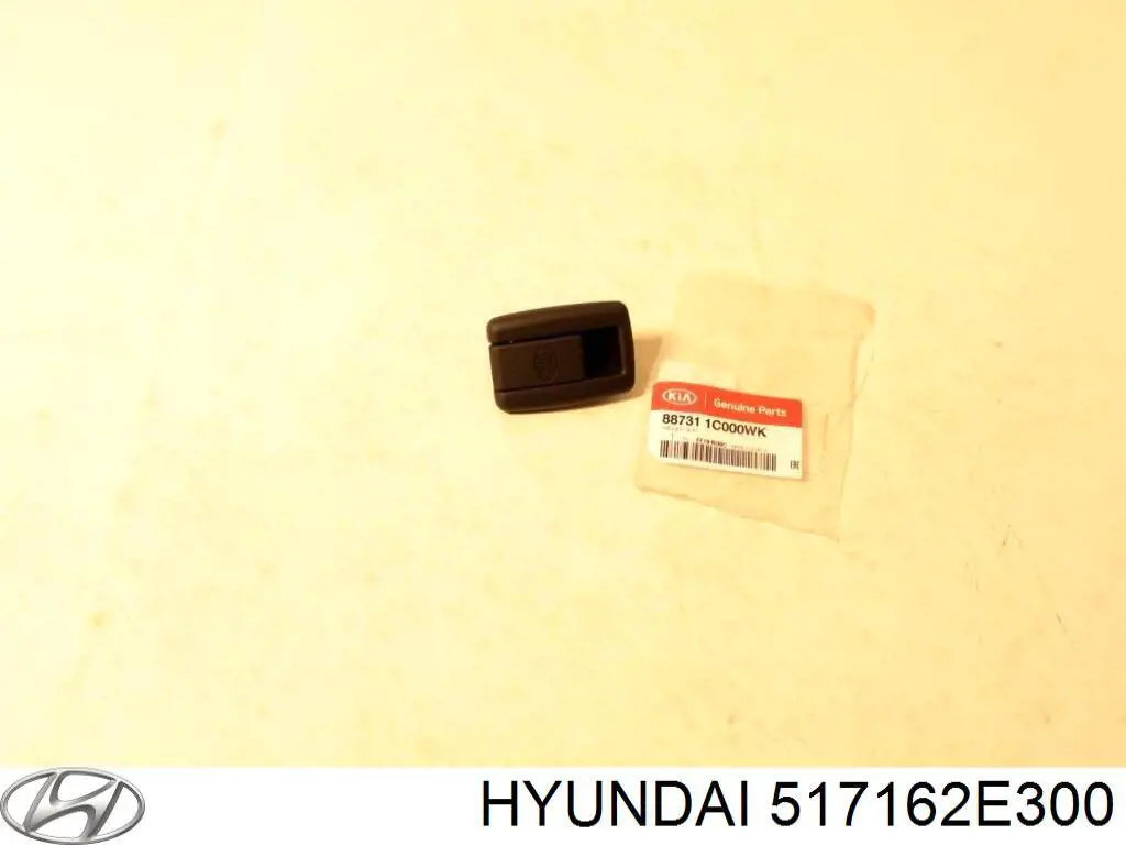 Mangueta delantera derecha Hyundai/Kia 517162E300 precio, desde 124,87 EUR
