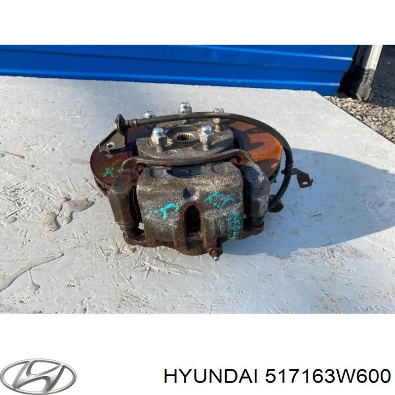 517163W600 Hyundai/Kia