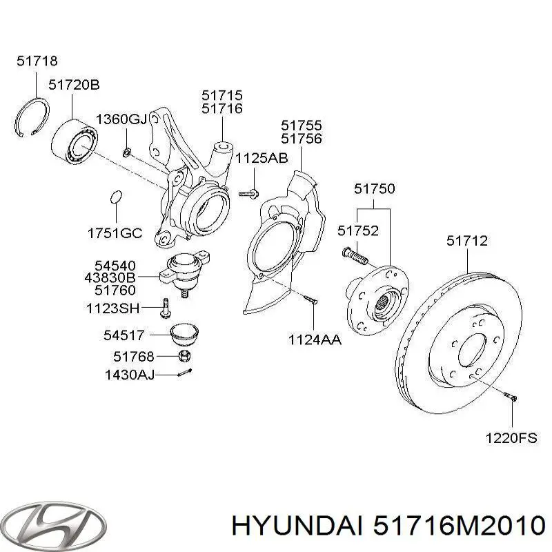 51716M2010 Hyundai/Kia muñón del eje, suspensión de rueda, delantero derecho