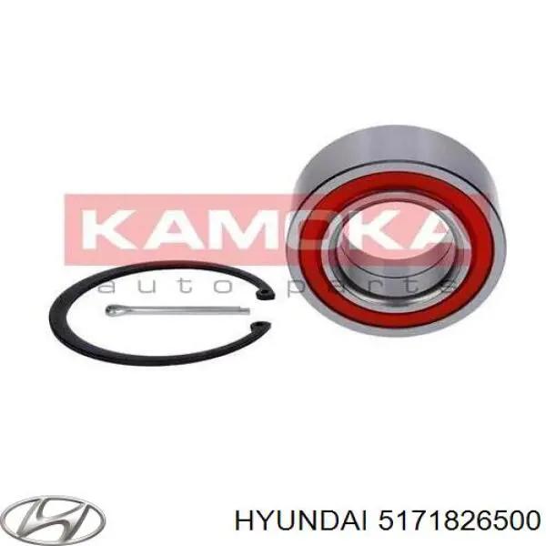 Anillo de retención del cojinete de la rueda delantera 5171826500 Hyundai/Kia