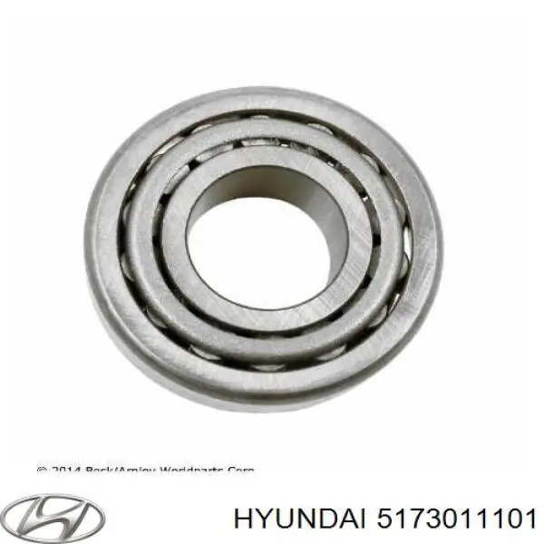 5173011101 Hyundai/Kia cojinete de rueda trasero exterior