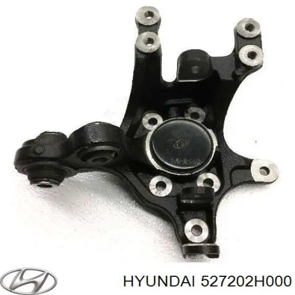 Mangueta trasera derecha Hyundai/Kia 527202H000 precio, desde 81,31 EUR