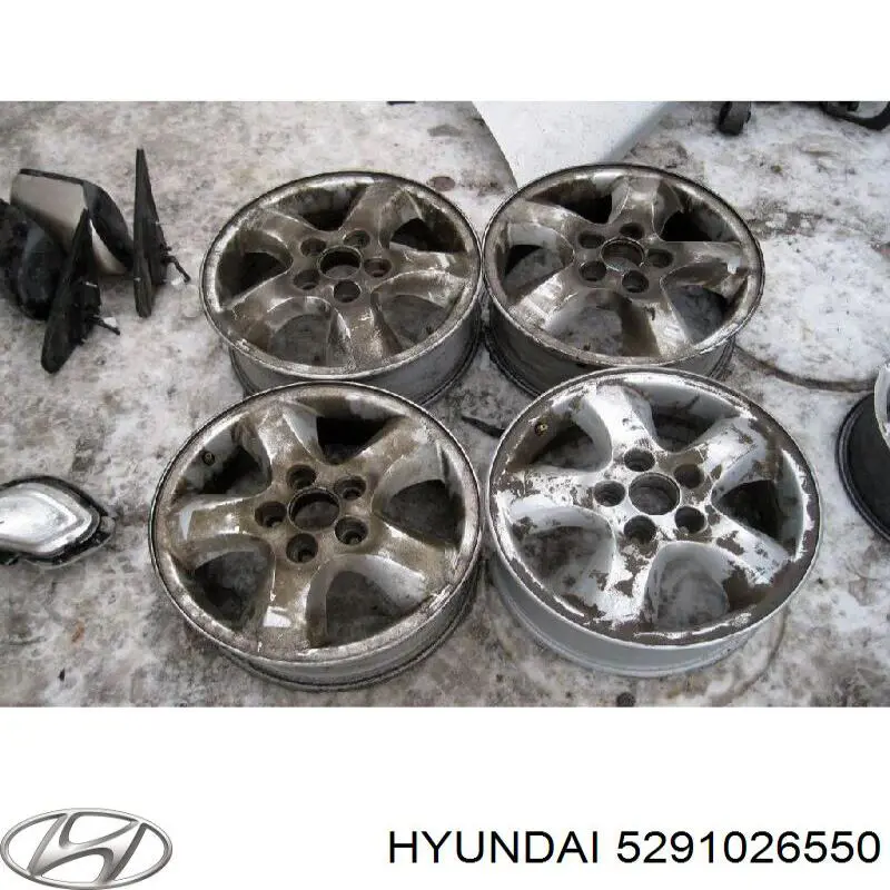 Rines Hyundai/Kia 5291026550 precio, desde 110,35 EUR