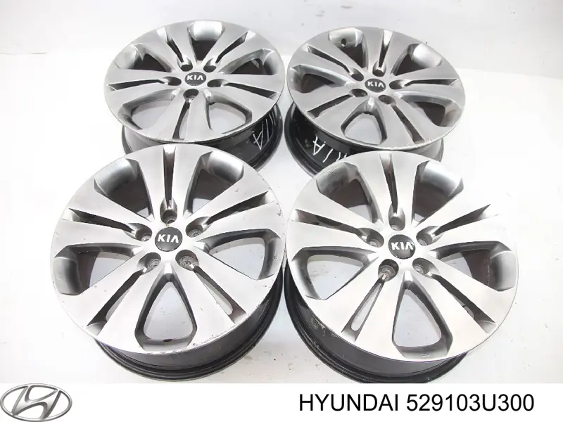 529103U300 Hyundai/Kia