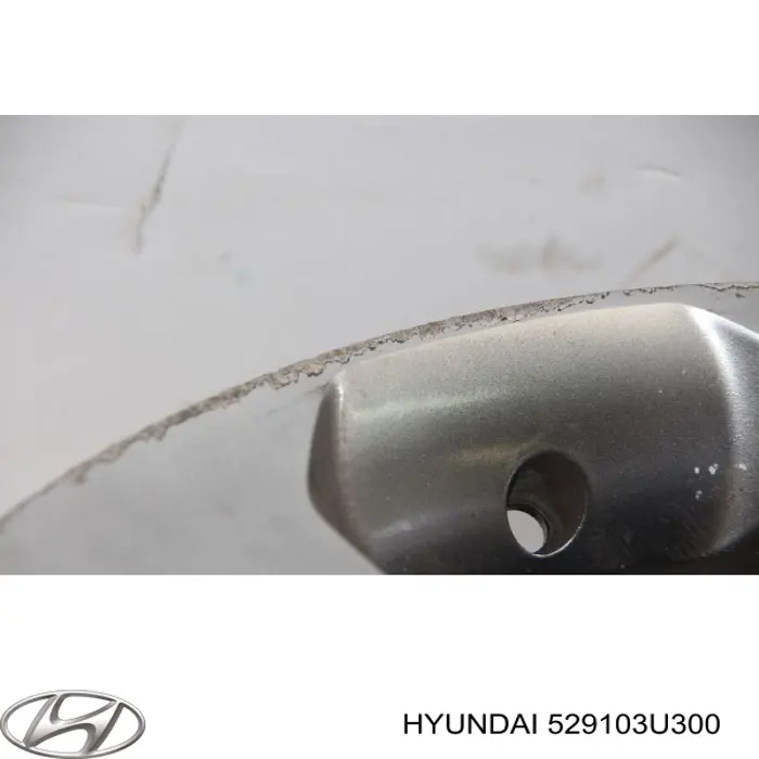 Rines Hyundai/Kia 529103U300 precio, desde 76,96 EUR