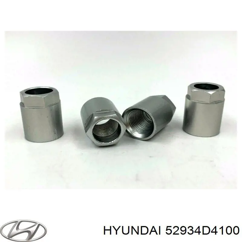 52934D4100 Hyundai/Kia