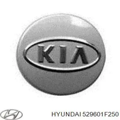 529601F250 Hyundai/Kia