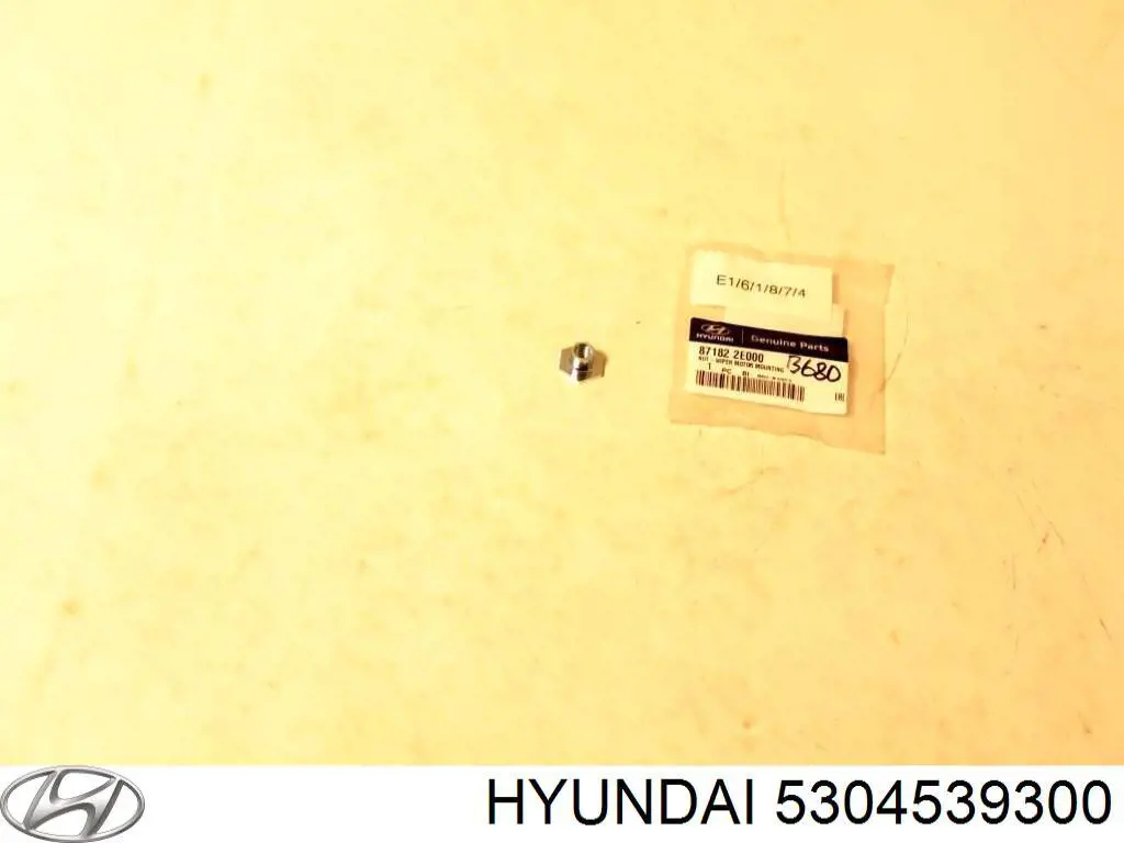 5304539300 Hyundai/Kia