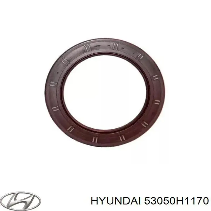 Anillo retén, Diferencial trasero Hyundai H100 (P)