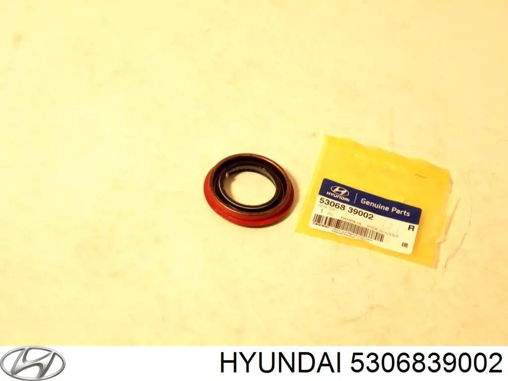 Anillo retén, diferencial eje trasero para Hyundai Santa Fe (SM)