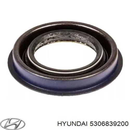 Retén del diferencial del eje trasero Hyundai/Kia 5306839200 precio, desde 3,06 EUR
