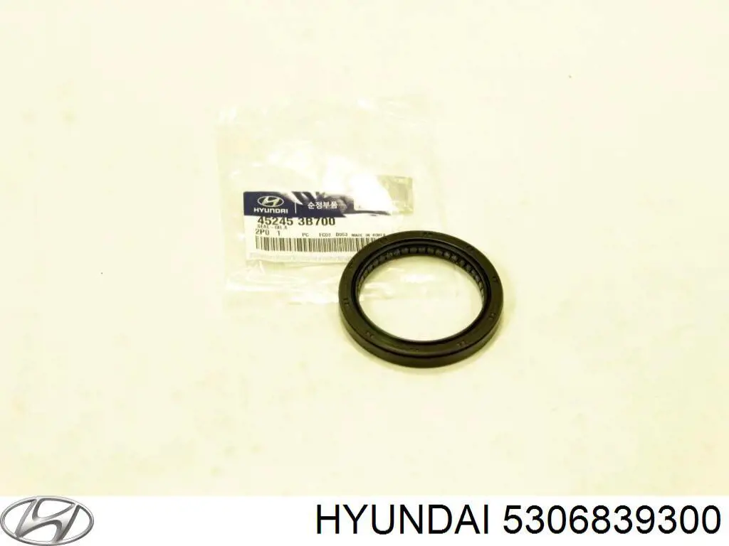 Retén del diferencial del eje trasero 5306839300 Hyundai/Kia