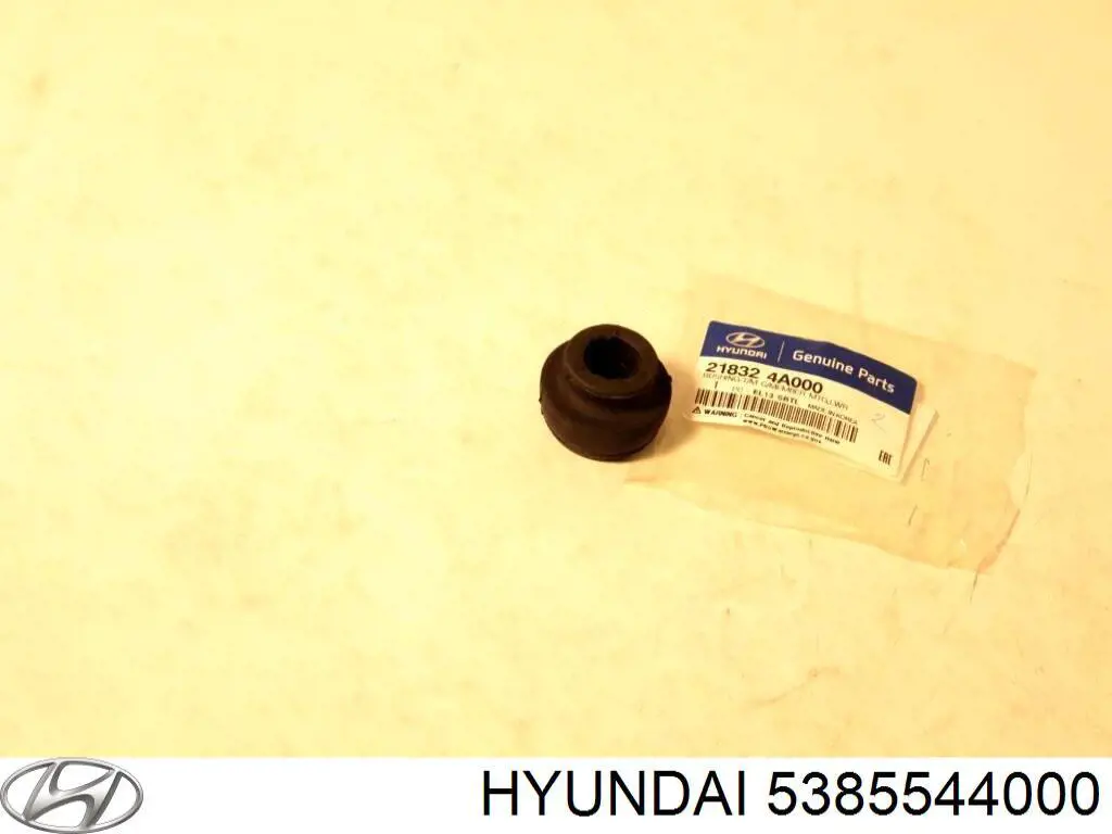 5385544000 Hyundai/Kia