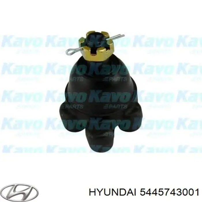 5445743001 Hyundai/Kia rótula de suspensión
