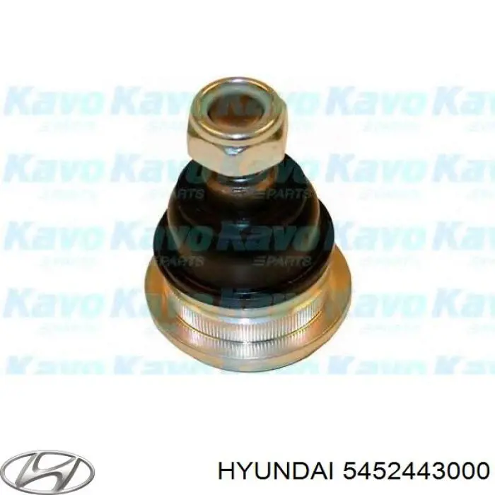 5452443000 Hyundai/Kia Rótula inferior de suspensión