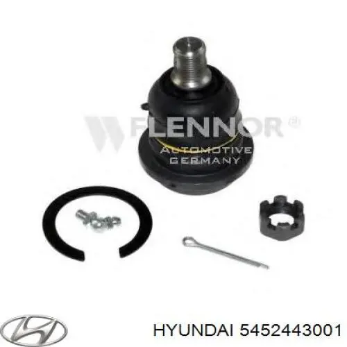 5452443001 Hyundai/Kia rótula de suspensión inferior