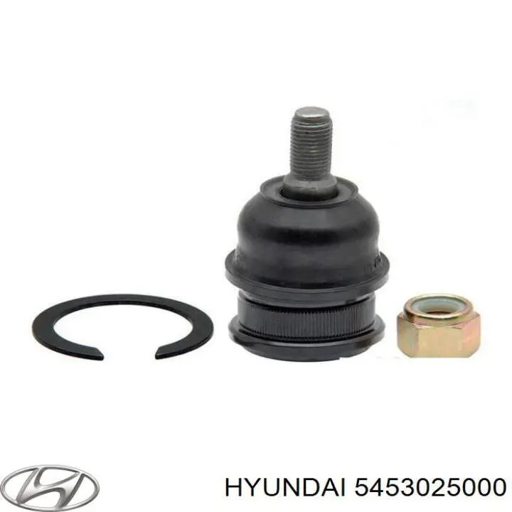 5453025000 Hyundai/Kia rótula de suspensión inferior