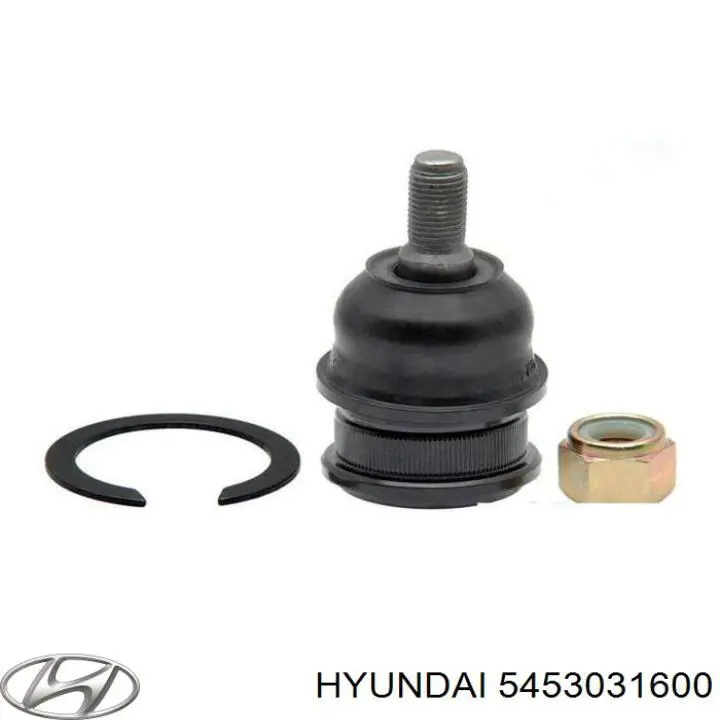 5453031600 Hyundai/Kia rótula de suspensión inferior