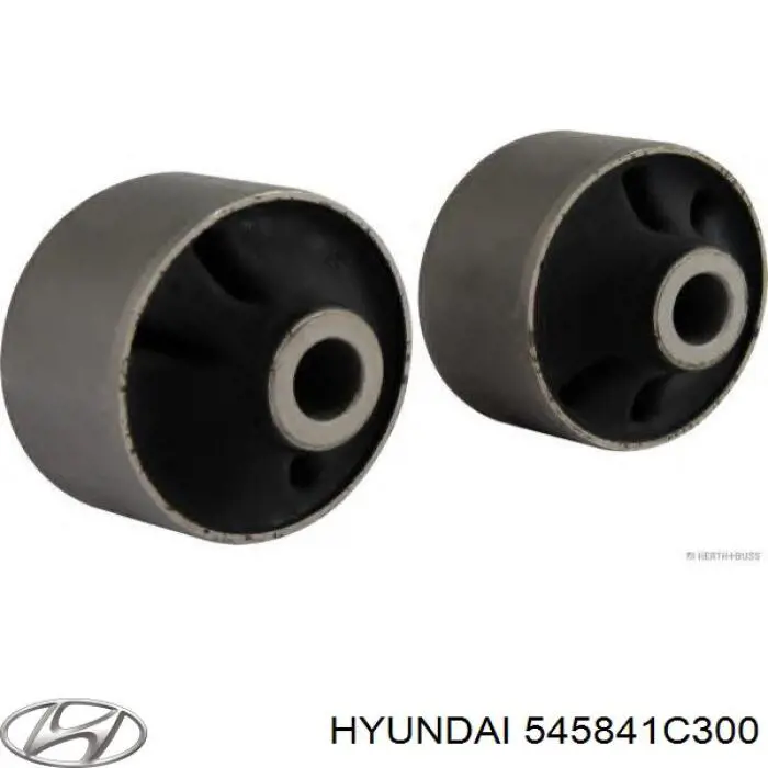 Comprar 545841C300 Hyundai/Kia Silentblock