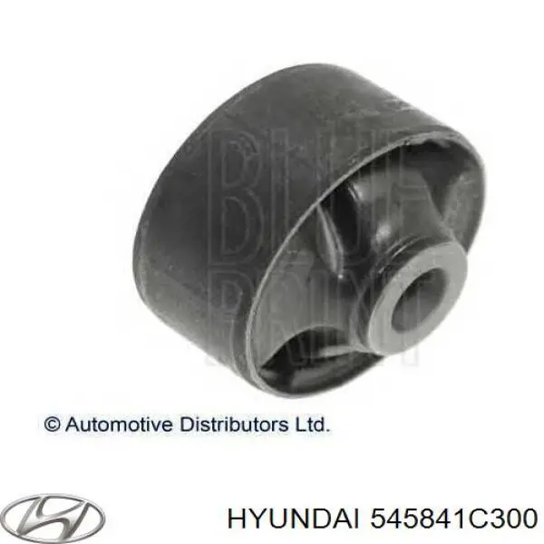 545841C300 Hyundai/Kia Silentblock de brazo de suspensión delantero inferior