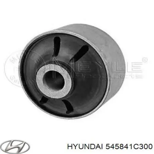 Silentblock de brazo de suspensión Hyundai/Kia 545841C300 precio, desde 13,45 EUR