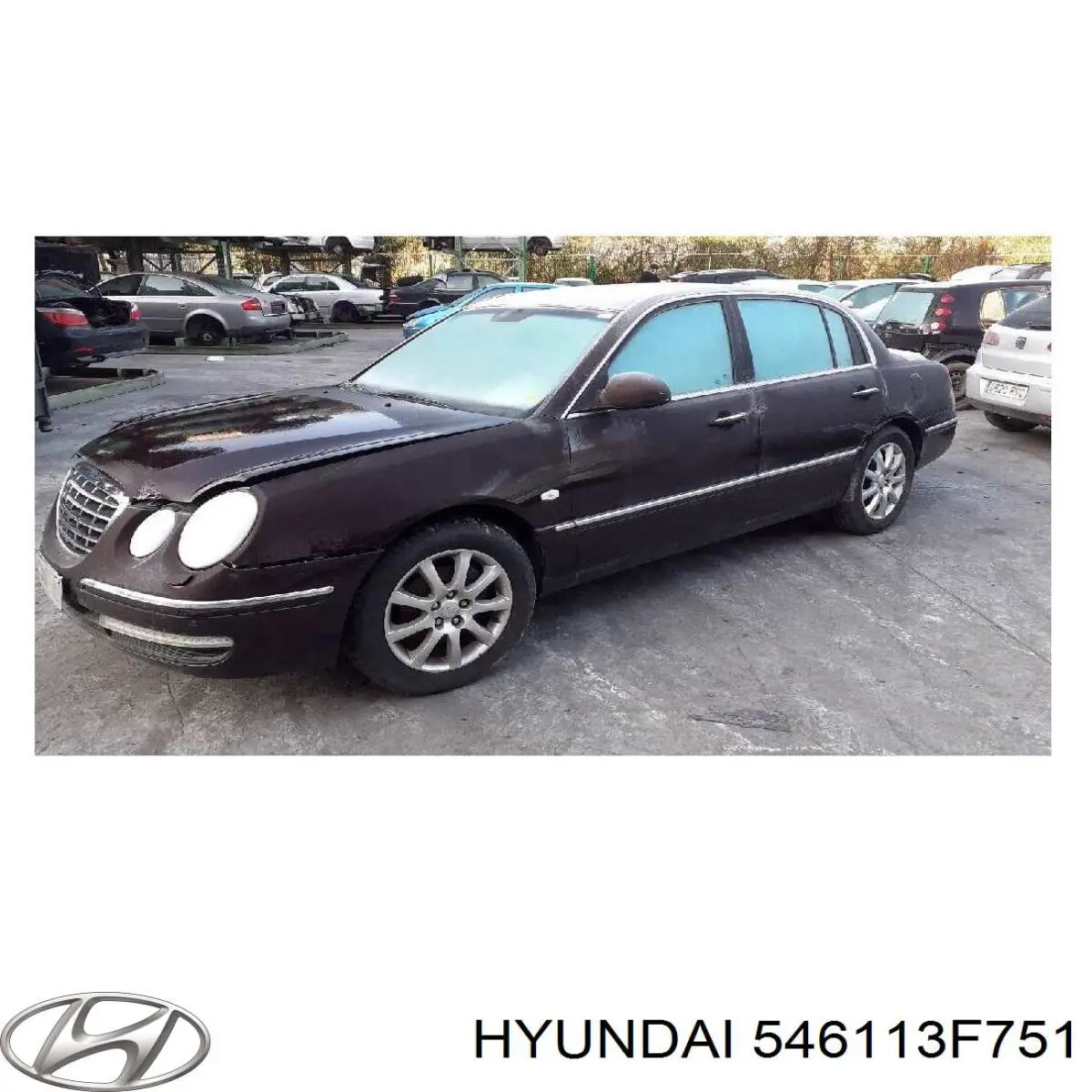 546113F751 Hyundai/Kia