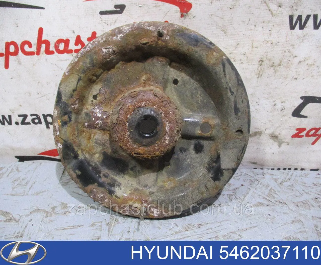 Copa superior del resorte delantero Hyundai/Kia 5462037110 precio, desde 56,31 EUR