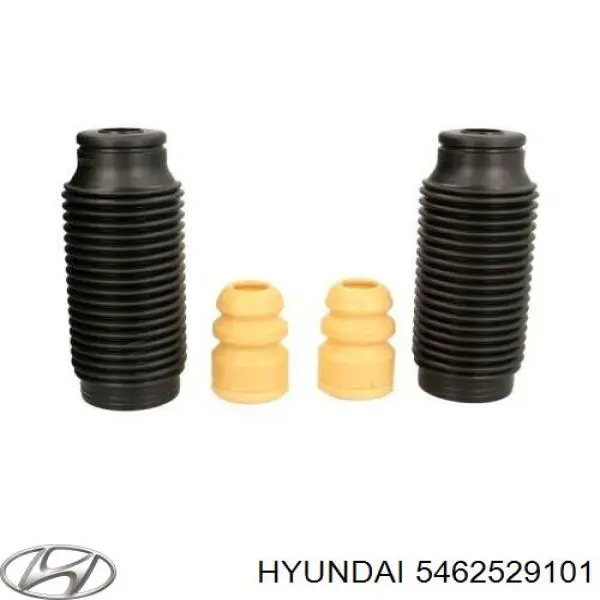 Fuelle, amortiguador delantero para Hyundai Matrix (FC)