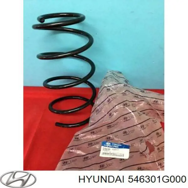546301G000 Hyundai/Kia Muelle delantero