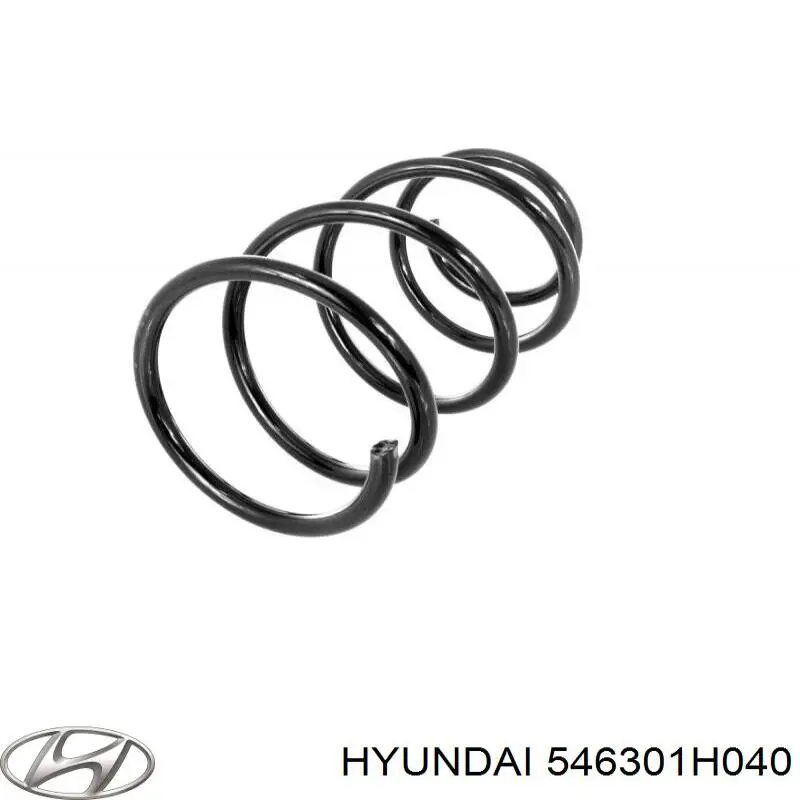 Muelles delantero Hyundai/Kia 546301H040