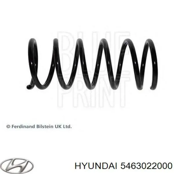 5463022000 Hyundai/Kia muelle de suspensión eje delantero