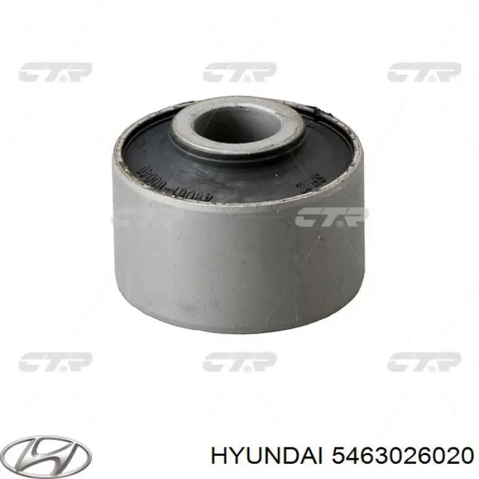 5463026020 Hyundai/Kia muelle de suspensión eje delantero