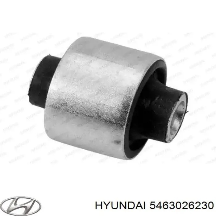 Comprar 5463026200 Hyundai/Kia Muelle delantero
