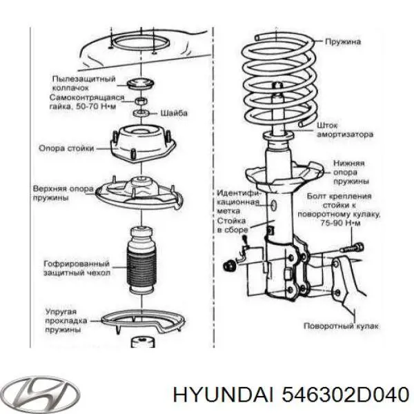 546302D040 Hyundai/Kia muelle de suspensión eje delantero