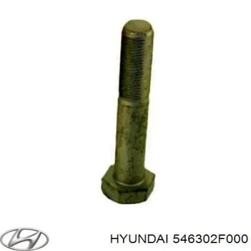 Comprar 546302F000 Hyundai/Kia Muelle delantero