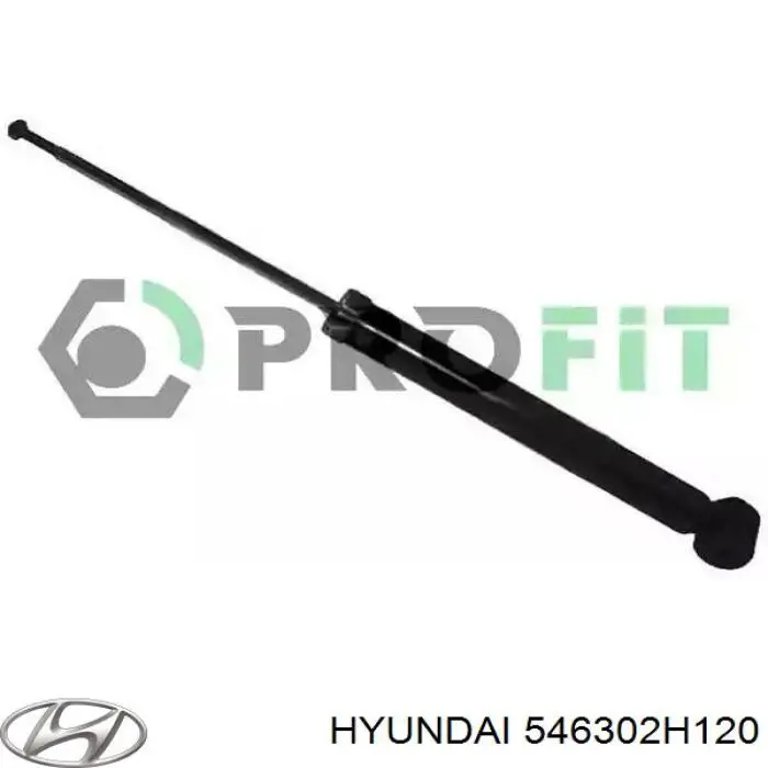 546302H120 Hyundai/Kia muelle de suspensión eje delantero