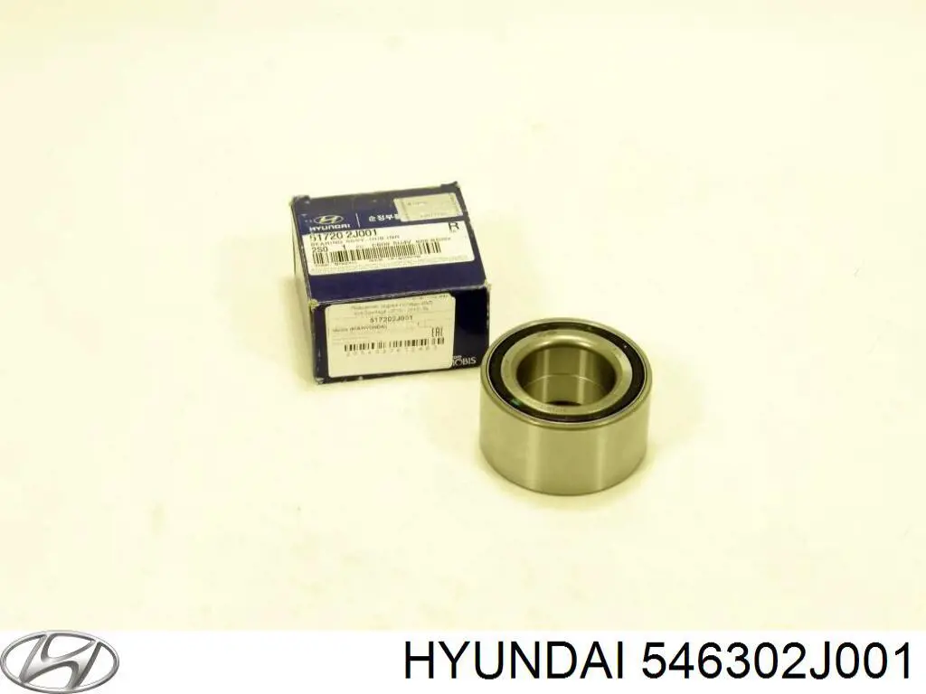 546302J001 Hyundai/Kia