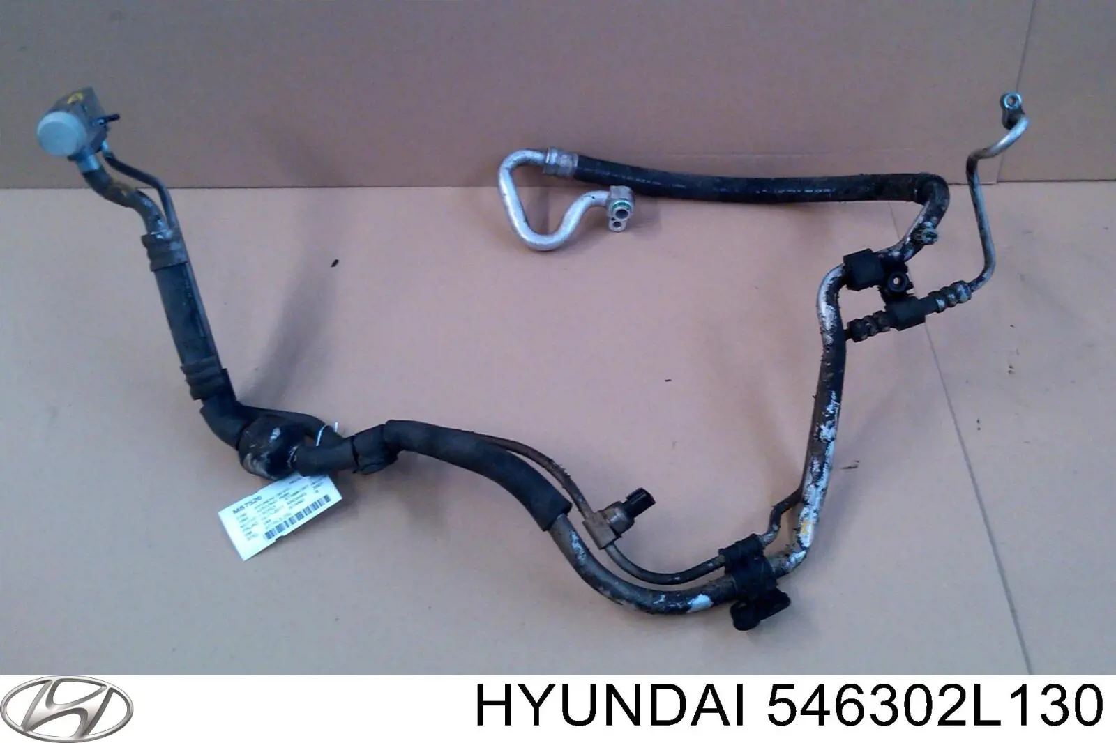 546302L130 Hyundai/Kia muelle de suspensión eje delantero