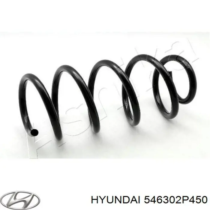 546302P450 Hyundai/Kia