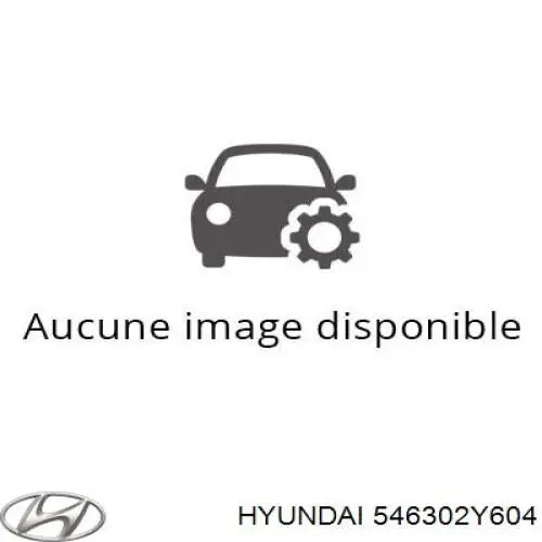 546302Y604 Hyundai/Kia muelle de suspensión eje delantero