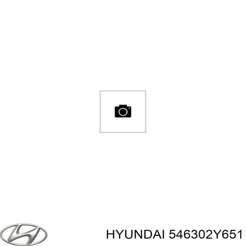 546302Y651 Hyundai/Kia