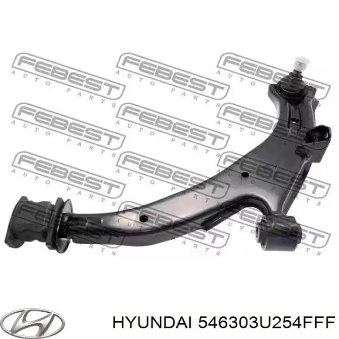 546303U254FFF Hyundai/Kia muelle de suspensión eje delantero