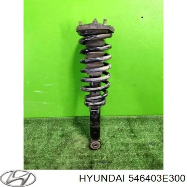 Amortiguador delantero derecho 546403E300 Hyundai/Kia