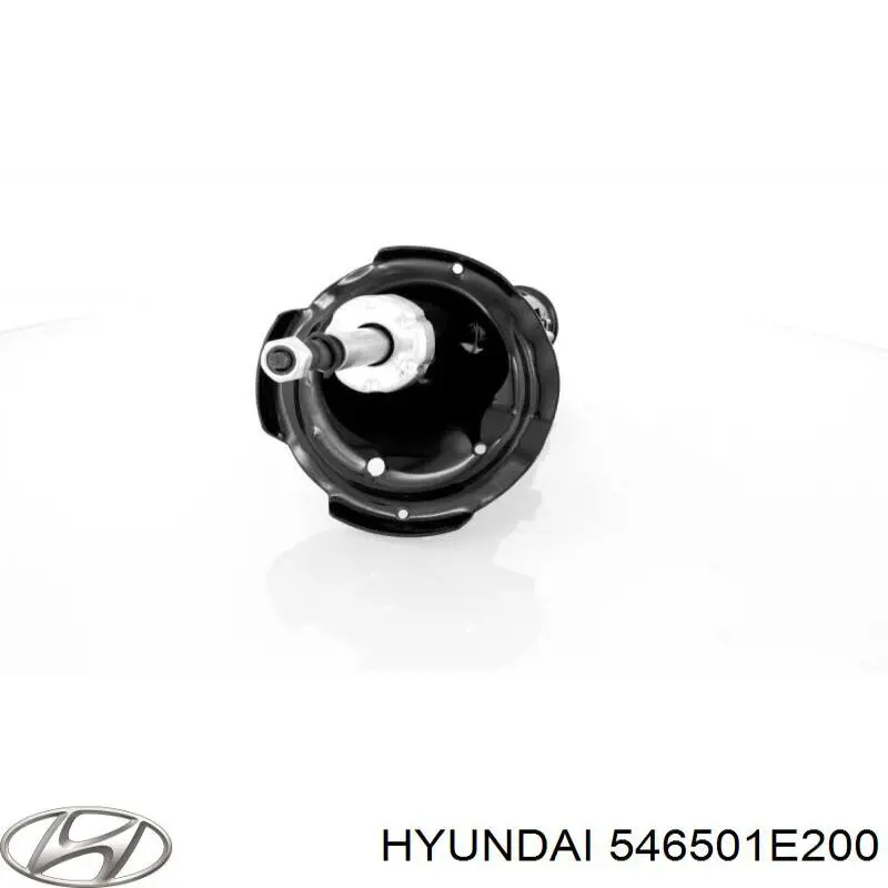 Amortiguador delantero izquierdo Hyundai/Kia 546501E200 precio, desde 53,86 EUR