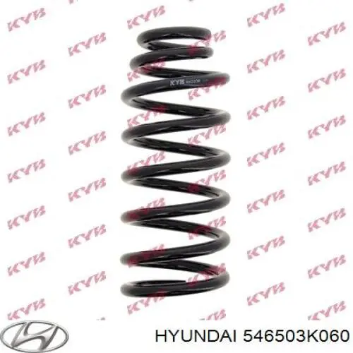 Muelle de suspensión eje delantero para Hyundai Sonata (NF)