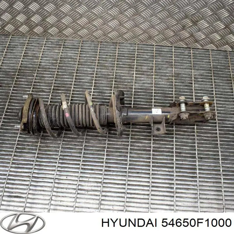 Amortiguador delantero izquierdo Hyundai/Kia 54650F1000 precio, desde 90,82 EUR