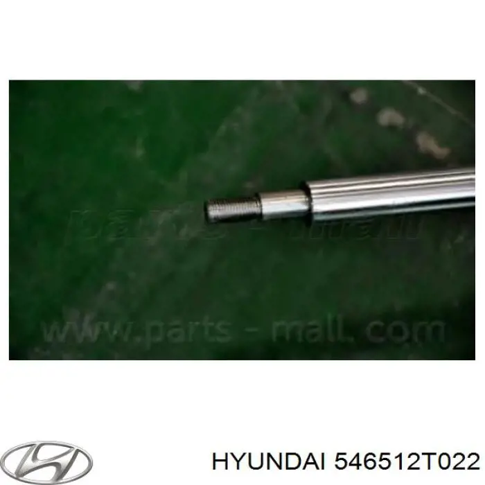 546512T022 Hyundai/Kia Amortiguador frontal izquierdo