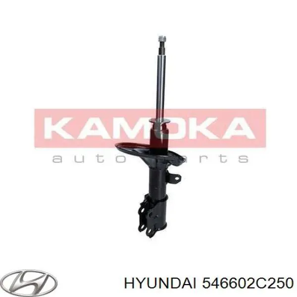 546602C250 Hyundai/Kia amortiguador delantero derecho